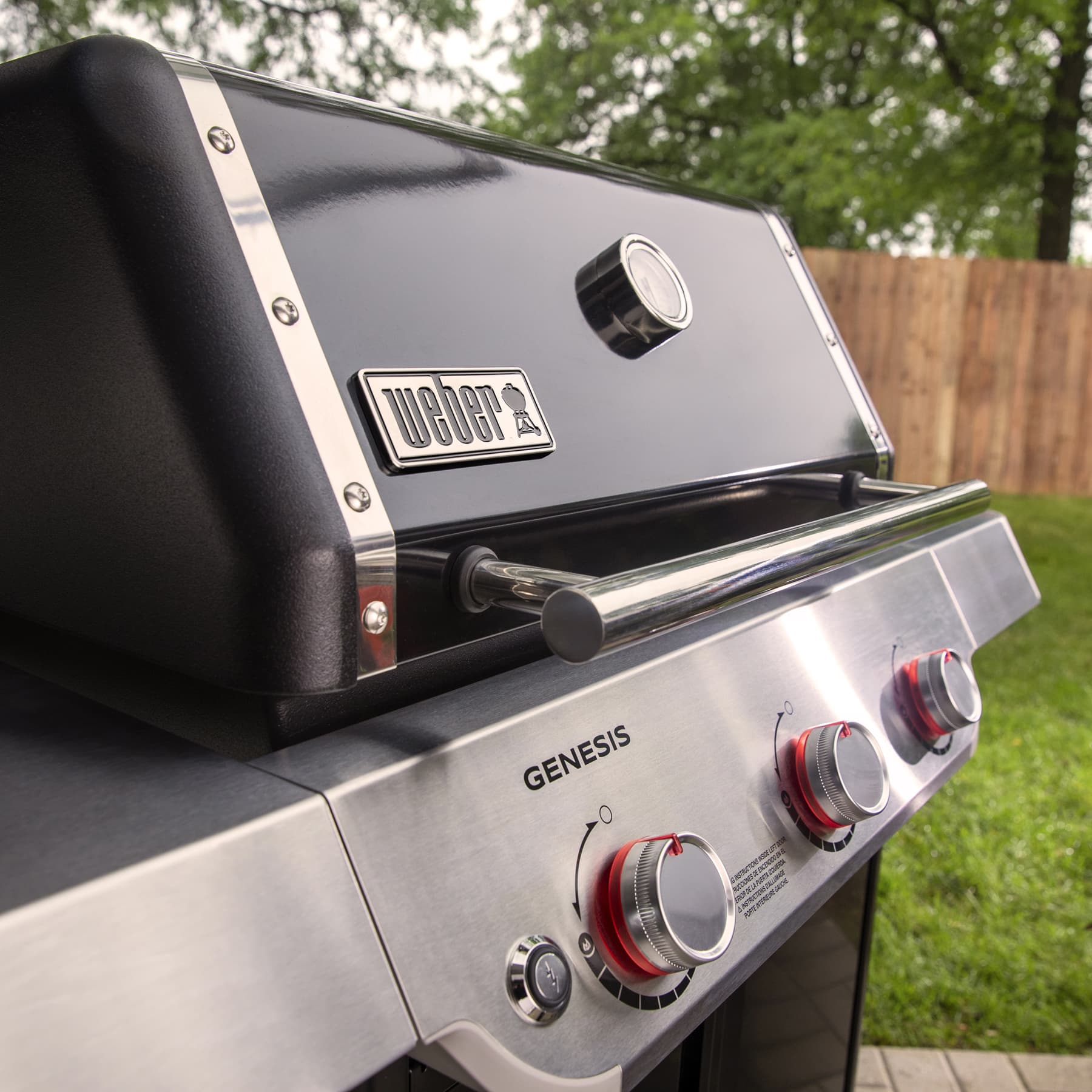 Weber Grills Genesis E 315 Freestanding Gas Grill thumbnail 2