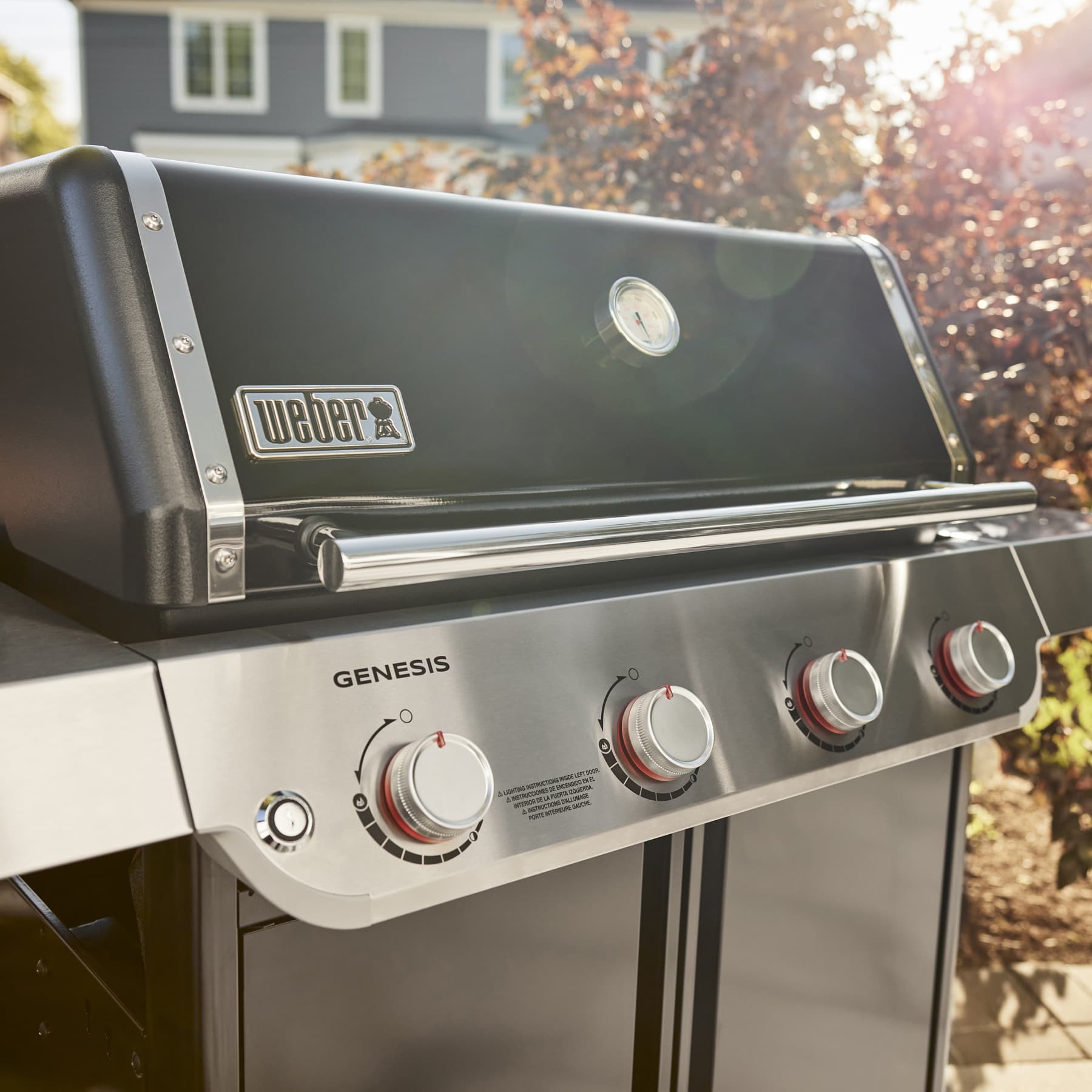 Weber Grills Genesis E 415 Freestanding Gas Grill thumbnail 2