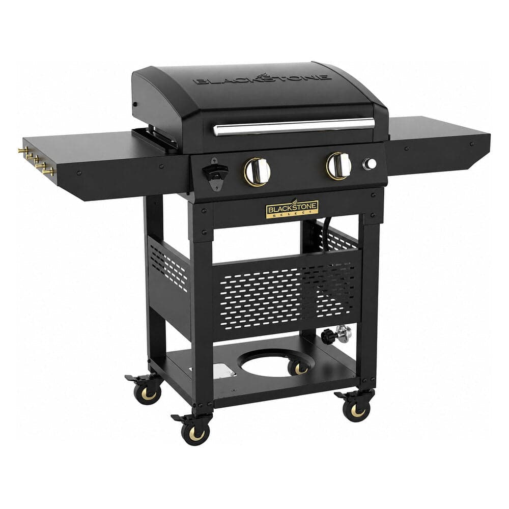 Blackstone 22-inch 2-burner propane griddle on an open black cart with lower shelf — the tabletop-adjacent entry size